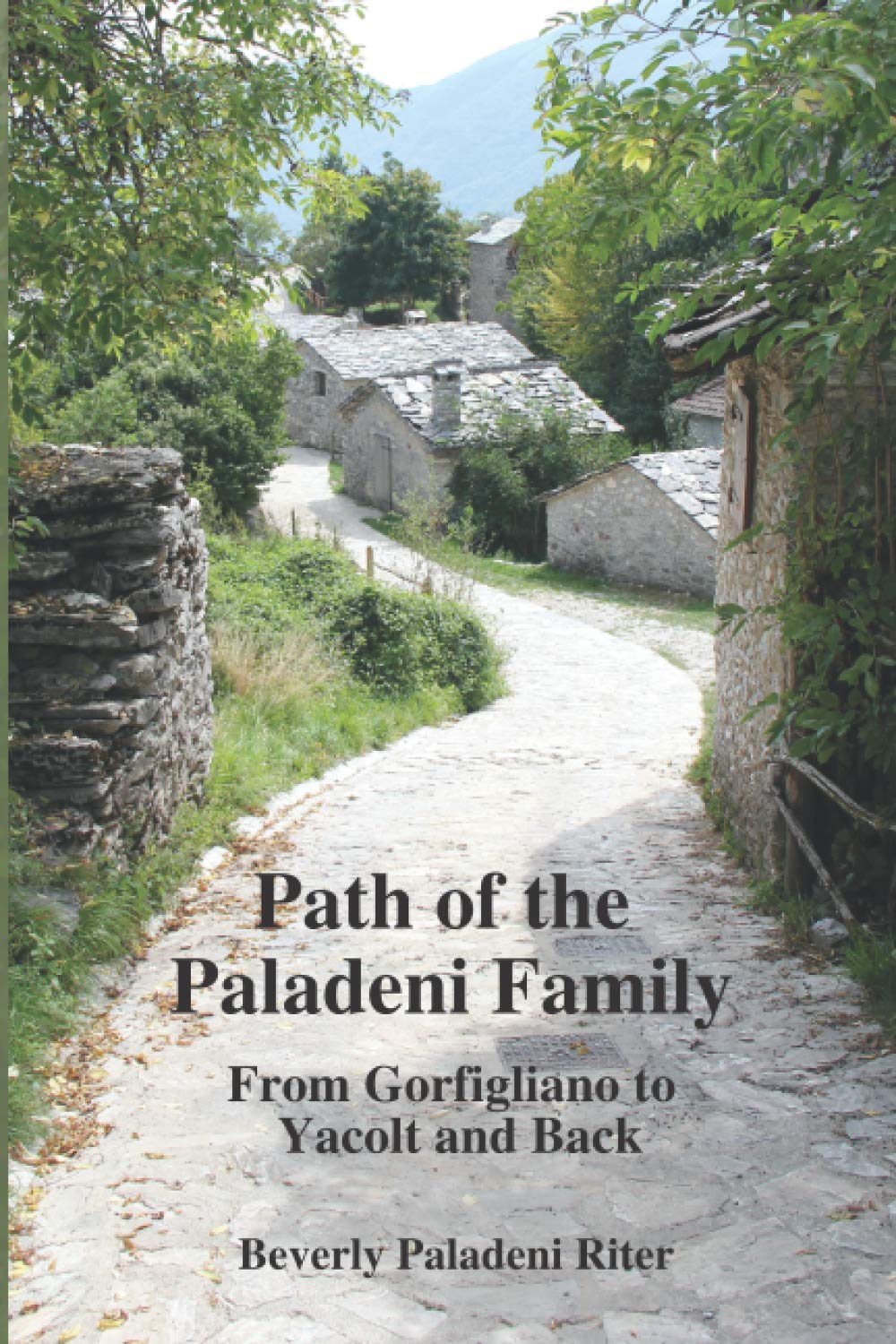 book cover for the Path of the Paladeni Family